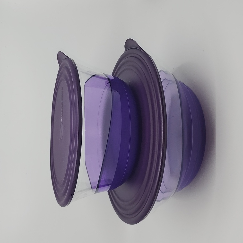 Tupperware Sheerly Elegant Purple set